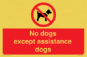 no-dogs-except-assistance-dogs~